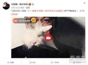 河南出轨爆料事件最新,真相与争议交织的婚姻漩涡