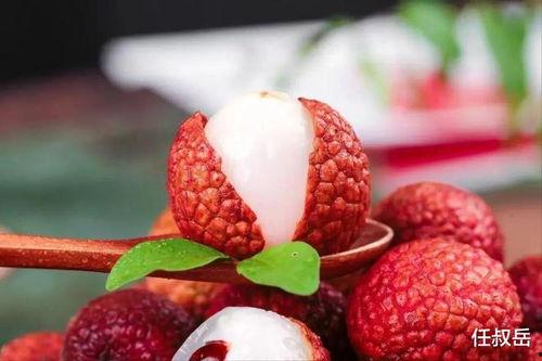 网红荔枝,甜蜜诱惑，引领夏日潮流