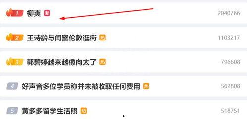 柳爽被女网友爆料视频在线播放,真相与争议交织