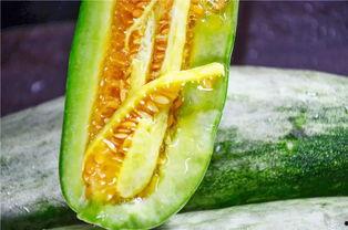 网红吃瓜网官网,揭秘娱乐圈幕后故事，带你领略网络红人生态