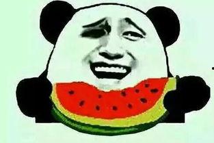 吃瓜不无脑站队,理性站队的智慧之道