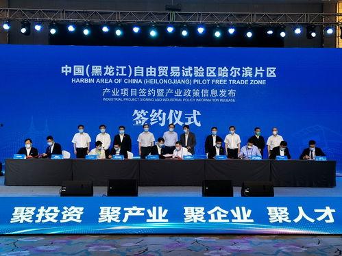 哈尔滨东宁区新闻头条,聚焦区域发展新动态，共绘美好未来蓝图