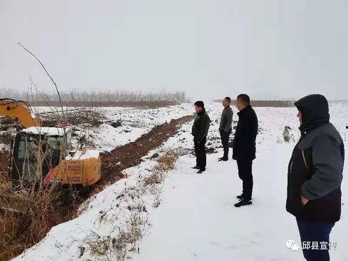 邱县马头新闻头条,聚焦发展新篇章，共绘乡村振兴美好蓝图