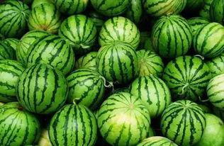 吃瓜吃瓜吃瓜群,网络社交新现象背后的故事