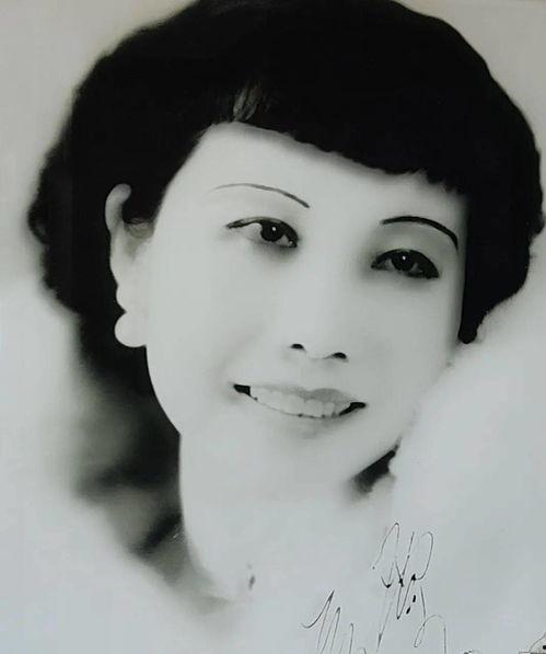 年轻明星李,闪耀星途的年轻明星