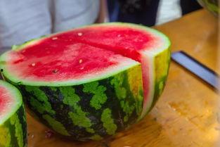 西昌现代学校吃瓜,吃瓜群众揭秘校园美食风云