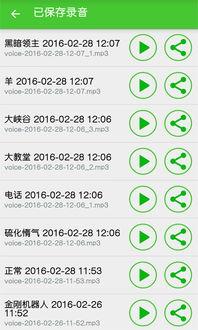 明星变声特效软件,瞬间变身，体验明星魅力