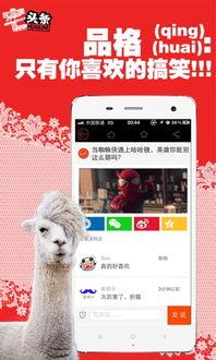 头条不推送广告了,用户体验再升级！”