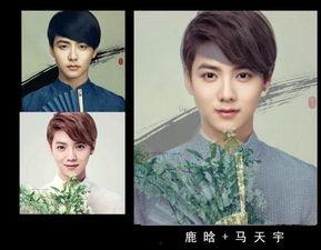 明星合成图最新,虚拟与现实交融的视觉盛宴