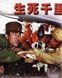 生死千里在线观看,生死时速，千里追踪