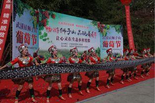 近期泸溪红网,探寻泸溪发展新篇章