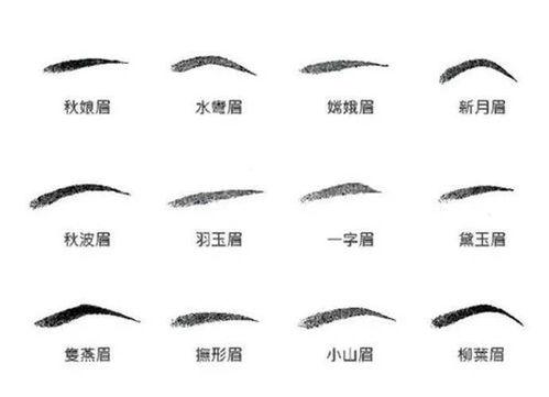 画眉样式明星女士,跟随明星女士探索画眉艺术之美