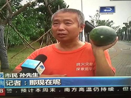 国内热门事件吃瓜,吃瓜群众视角下的真相与争议