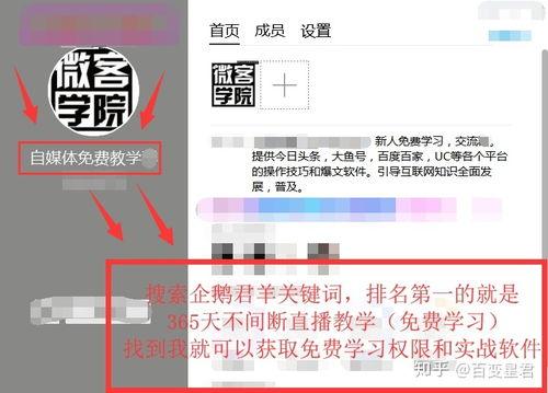 头条号被扣分怎么开原创,攻略解析