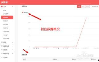 头条号中奖信息怎么查看,揭秘中奖详情，快来一探究竟！】