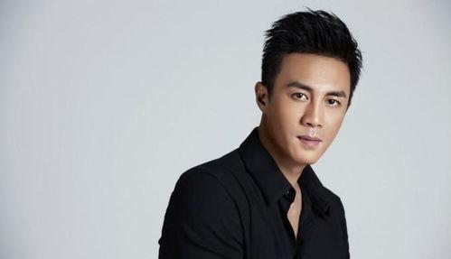 中国男明星帅哥,盘点那些让人惊艳的帅哥面孔