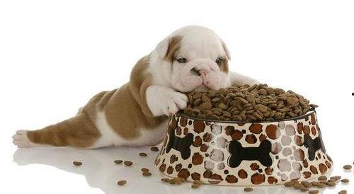 吃狗粮吃到大瓜,揭秘那些甜蜜背后的惊人真相