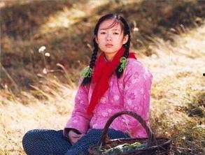 回民 明星,传承与创新中的民族之光