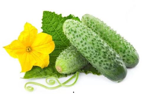 吃瓜系统季晏清,吃瓜系统中的神秘角色揭秘