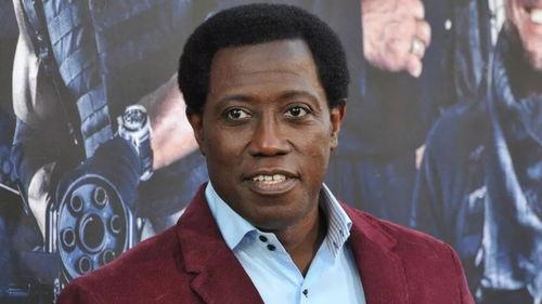 明星逃税说说文案,揭秘娱乐圈税务乱象背后的真相