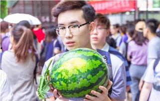 吃瓜大督查,揭秘娱乐圈幕后真相