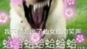 吃瓜摸鱼看戏视频,揭秘网络视频背后的娱乐现象