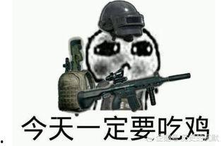 瓜仔吃鸡主
