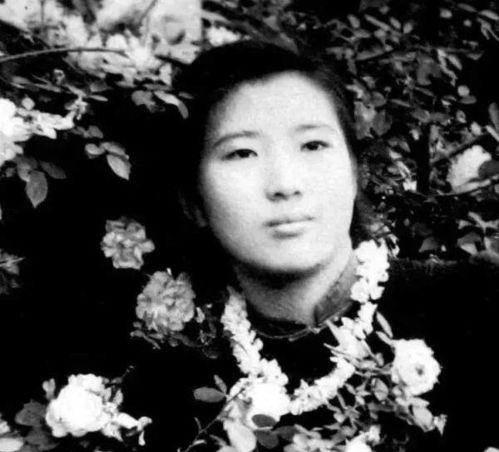 吃瓜薛铮铮,揭秘娱乐圈背后的故事