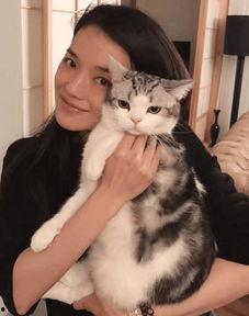 明星爱猫,明星们的爱宠猫咪大盘点