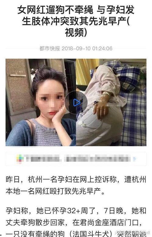 网红恶犬在,网络暴力与动物保护的反思