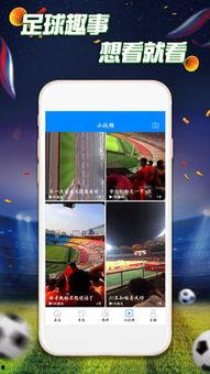 最新模块爆料视频播放,视频播放技术革新，带你领略未来视听盛宴