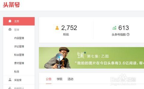 今日头条有什么文章推广,揭秘网红经济背后的秘密与机遇