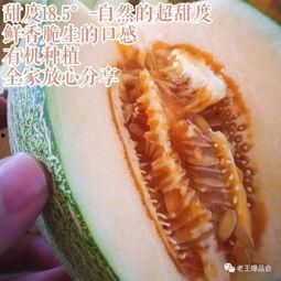 小甜蜜带你吃瓜,甜蜜瞬间尽收眼底
